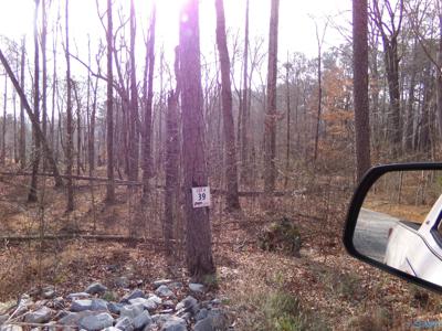 Lot 39 County Road 243