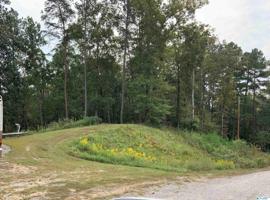 000 White Oak Road