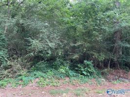2 Cottonmouth Lane