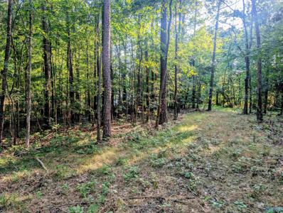 Lot 37 County Road 683