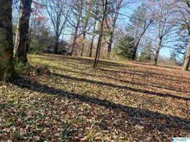 00 County Road 582