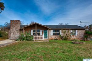 247 Snow Drive