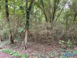 3 Cottonmouth Lane
