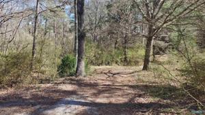 PIN-2969 Ridge Circle
