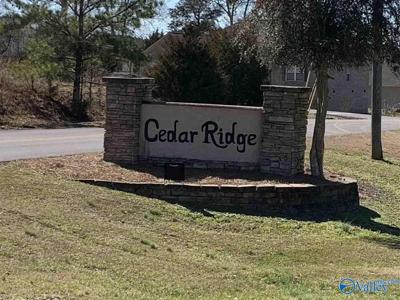 33 Cedar Ridge Circle