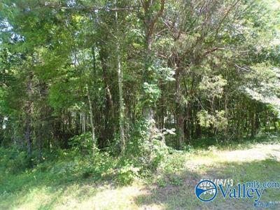 .44 ac lot Hackberry Circle