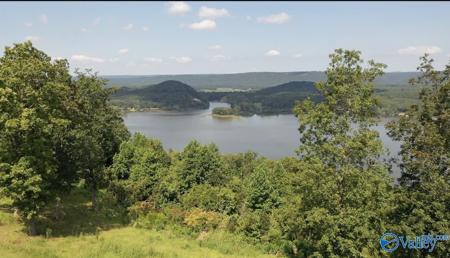 Lot 292 County Road 1022