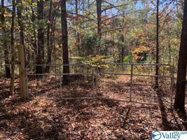 LOT 10 Stewart Hollow Road