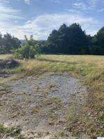 Pine Island Point