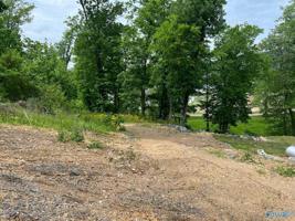 18 Mitchell Hollow Road
