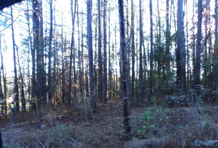 Lots 18-19 Glenwood Avenue