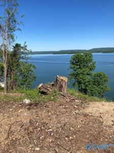 810 Pine Island Point