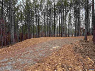 1 County Road 155