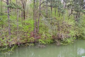 0.39 acre County Road 3132