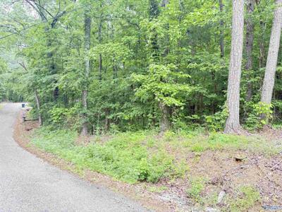Lot 72 Holiday Shores Road