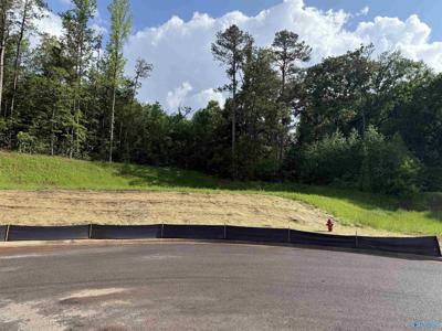 Lot 6 Tumbleweed Drive