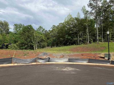 Lot 7 Tumbleweed Drive