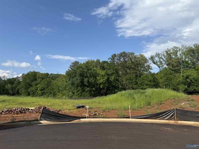 Lot 8 Tumbleweed Drive
