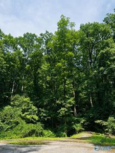 6 Northwoods Trail