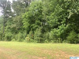 Hawkins Drive