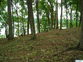 Lot 13 Monte Sano Drive