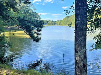3 Acres Hooks Lake Road