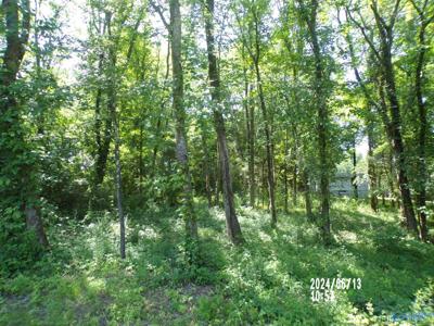 .31 Ac Lot Hackberry Lane