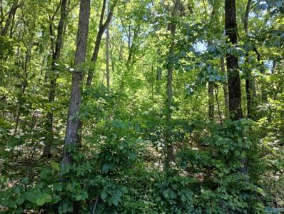 386 Creekview Drive