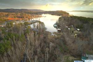 Lot 4 & 5 Pine Island Point