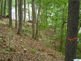 Lot 12 Monte Sano Drive
