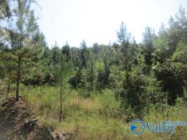 1.5 ac Owls Hollow Road