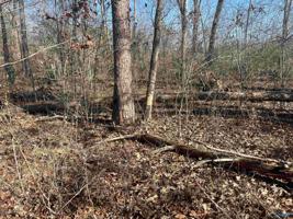 Lot 14 Arley Landing Drive