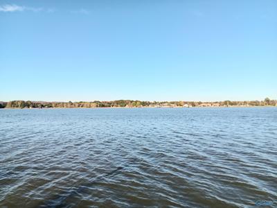 619 Lake Vista Point