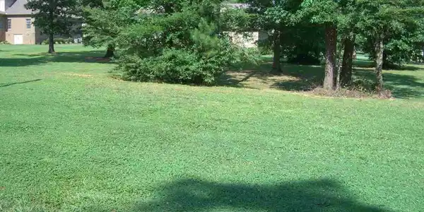 lot 20 Wisteria Way