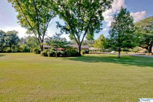 140 Cap Adkins Road