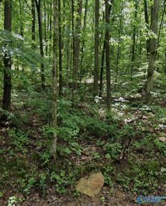 Lot 19 Lindsey Lane