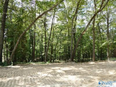 Lot 49 Harbor Loop