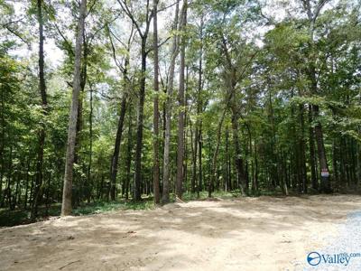 Lot 50 Harbor Loop