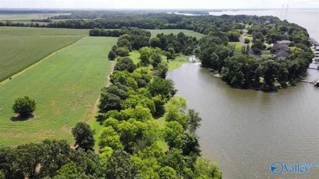 56.91 Acres Hatchie Lane