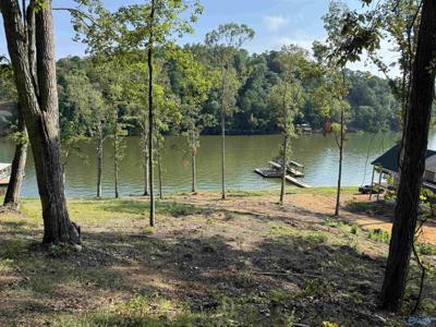 .39 acres County Road 594