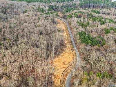 900-B Lot 10 County Road 114