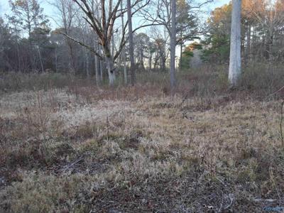 3.02 acres Euclid Road