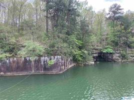 0 Sipsey Pines Road