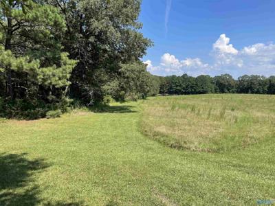 41 Acres/298 Spinks Drive