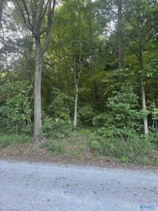 Lot 71 Goldenrod Way