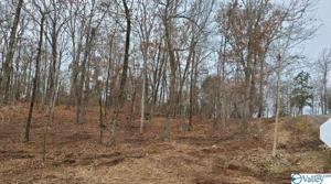 712 Monte Sano Drive
