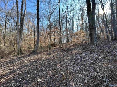 Lot 30 Beech Fork Lane