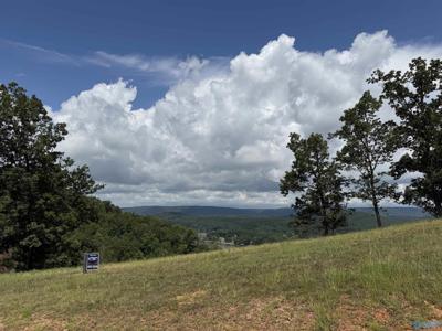 Lot 213 County Road 1022