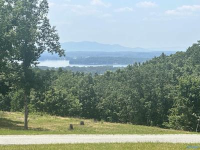 Lot 228 County Road 767