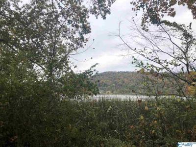 Lot 5 Alabama Highway 79